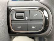 CITROEN C5 AIRCROSS 2022 (72)