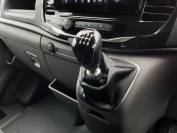 FORD TRANSIT 2024 (74)