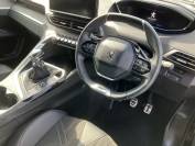PEUGEOT 3008 2021 (71)