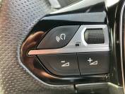 PEUGEOT 3008 2021 (71)