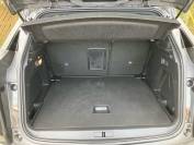 PEUGEOT 3008 2021 (71)