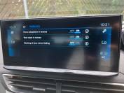 PEUGEOT 3008 2021 (71)