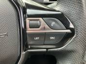 PEUGEOT 3008 2021 (71)