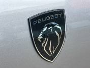 PEUGEOT 5008 2024 (74)