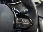 PEUGEOT 2008 2022 (71)
