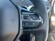 PEUGEOT 3008 2021 (71)