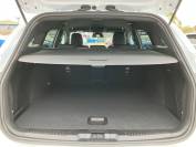FORD FOCUS 2024 (74)