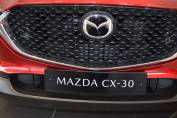 MAZDA CX-30 2025 (25)