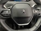 PEUGEOT 3008 2022 (71)