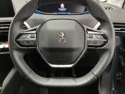PEUGEOT 3008 2022 (71)