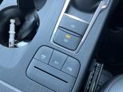 FORD KUGA 2022 (72)