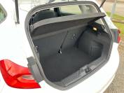 FORD FIESTA 2018 (18)