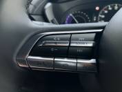 MAZDA MX-30 2025 (25)