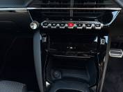 PEUGEOT 2008 2023 (73)