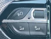 PEUGEOT 3008 2017 (17)