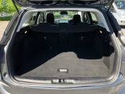 FORD FOCUS 2024 (24)