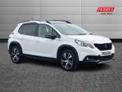 PEUGEOT 2008 2019 (19)