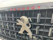 PEUGEOT 2008 2019 (19)