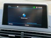 PEUGEOT 3008 2019 (19)