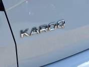 SKODA KAROQ 2019 (69)