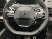 PEUGEOT 3008 2023 (73)
