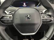 PEUGEOT 5008 2022 (71)