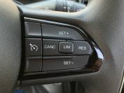 VAUXHALL MOVANO 2025 (25)