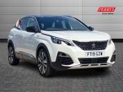 PEUGEOT 3008 2019 (19)