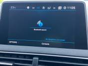 PEUGEOT 3008 2019 (19)