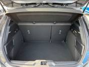 FORD FOCUS 2024 (74)