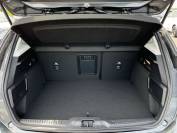 FORD FOCUS 2024 (74)