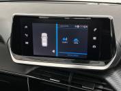 PEUGEOT 2008 2021 (71)