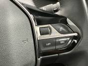 PEUGEOT 2008 2021 (71)