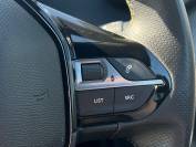 PEUGEOT 2008 2020 (20)