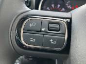 CITROEN C3 AIRCROSS 2022 (22)