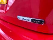 FORD FIESTA 2021 (21)
