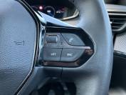 PEUGEOT 2008 2023 (73)