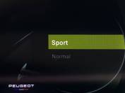 PEUGEOT 2008 2024 (24)