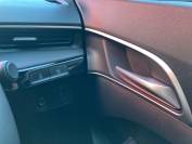 MG 3 2025 (74)