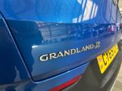 VAUXHALL GRANDLAND X 2019 (69)