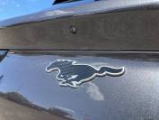FORD MUSTANG MACH-E 2022 (22)
