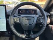 FORD MUSTANG MACH-E 2022 (22)