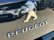PEUGEOT 3008 2015 (65)