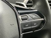 PEUGEOT 3008 2020 (70)