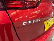 KIA CEED 2025 (74)