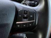 FORD TRANSIT 2024 (74)