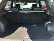 KIA SPORTAGE 2024 (74)