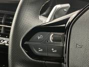PEUGEOT 208 2024 (74)