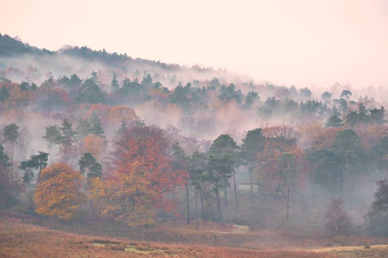 Longshaw & the Eastern Moors National Trust