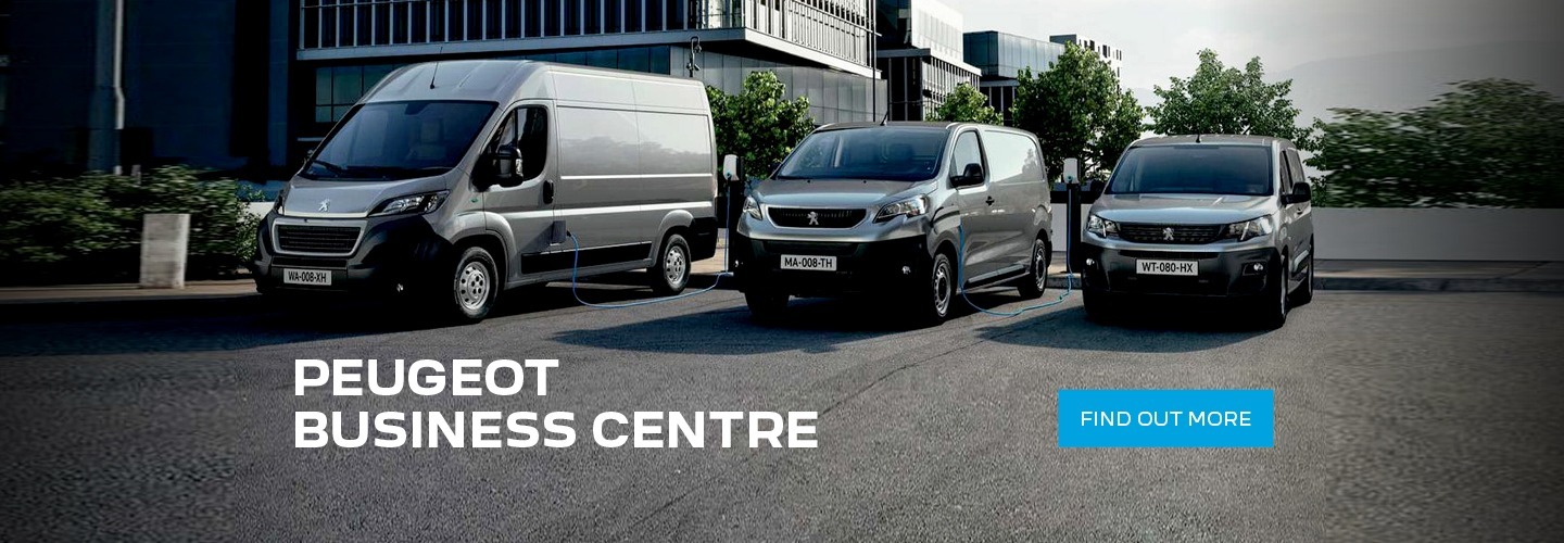 Peugeot Business Centre Standards